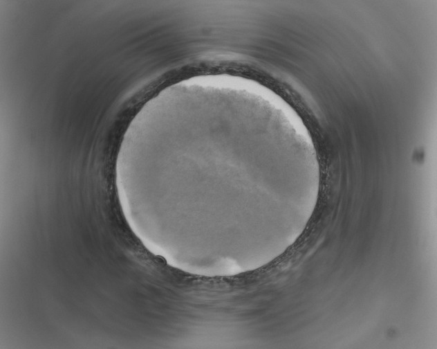 X0000116830919201001081434