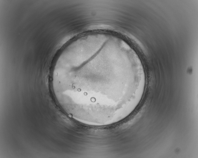 X0000116830921201001081434