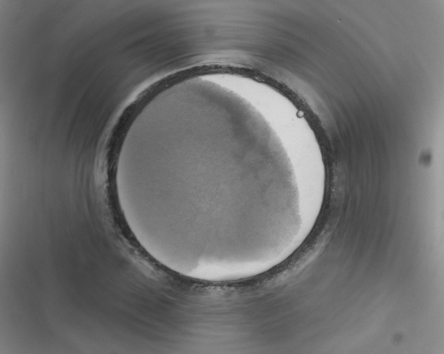 X0000116830923201001081434