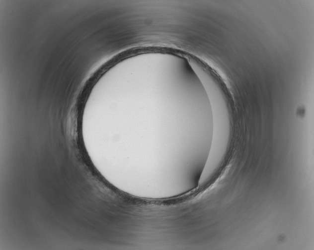 X0000116830925201001081434