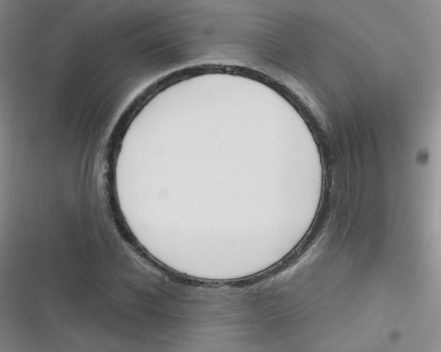 X0000116830926201001081434