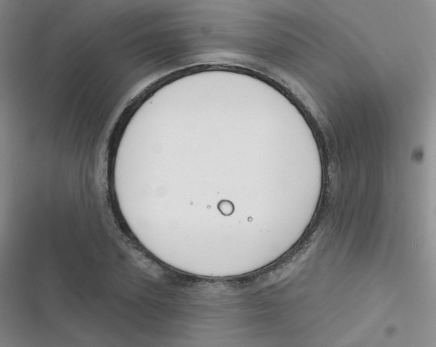 X0000116830931201001081434