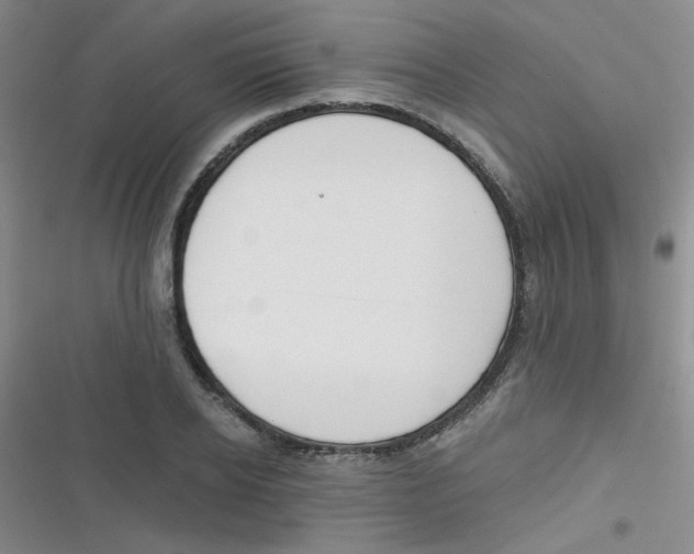 X0000116830934201001081435