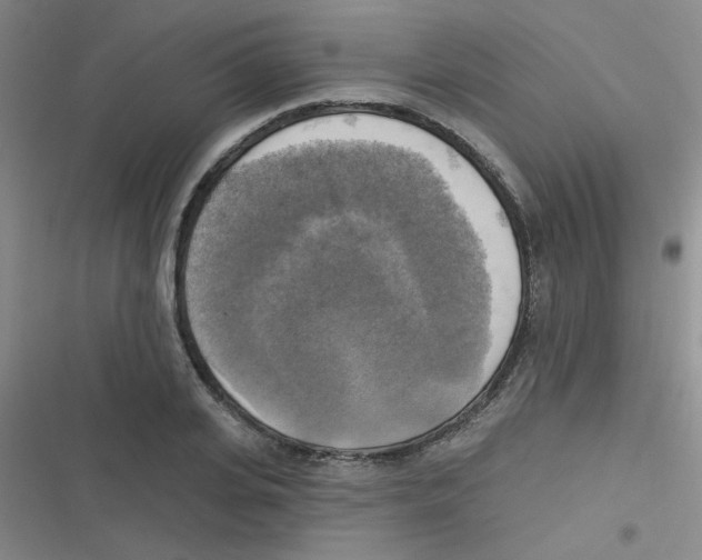 X0000116830935201001081435