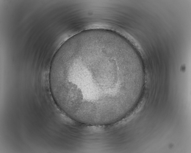 X0000116830937201001081435