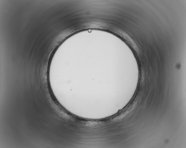 X0000116830938201001081435