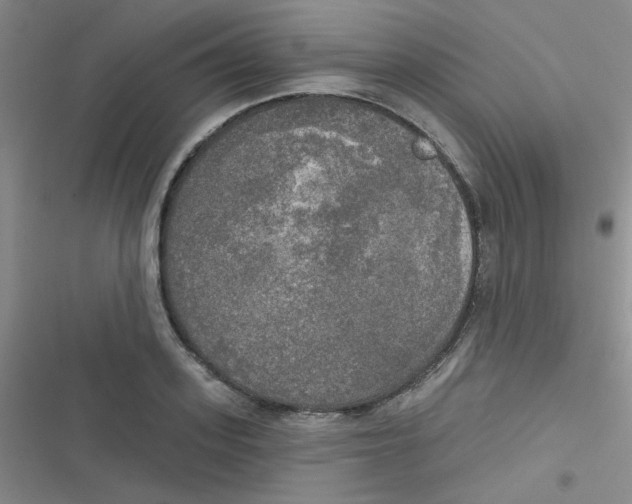 X0000116830939201001081435