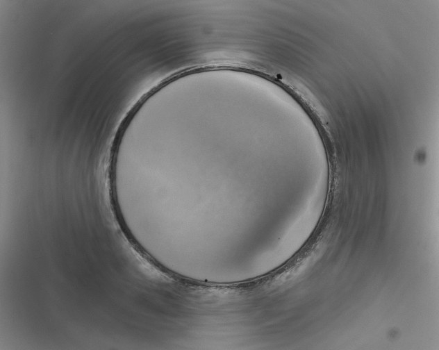 X0000116830941201001081435