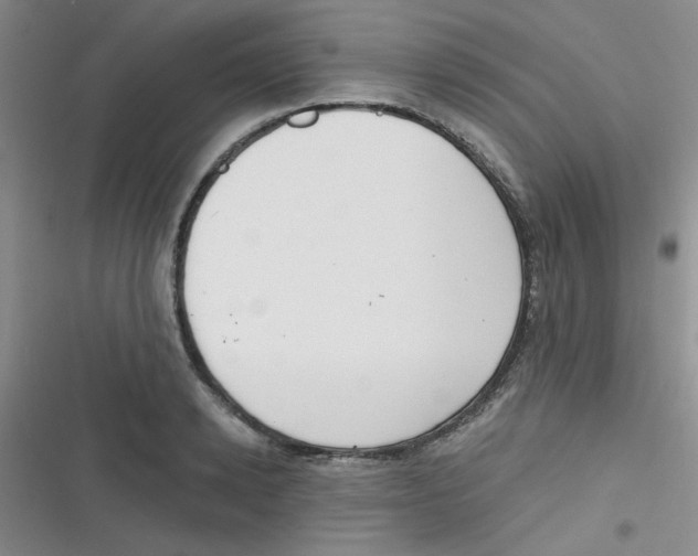 X0000116830942201001081435