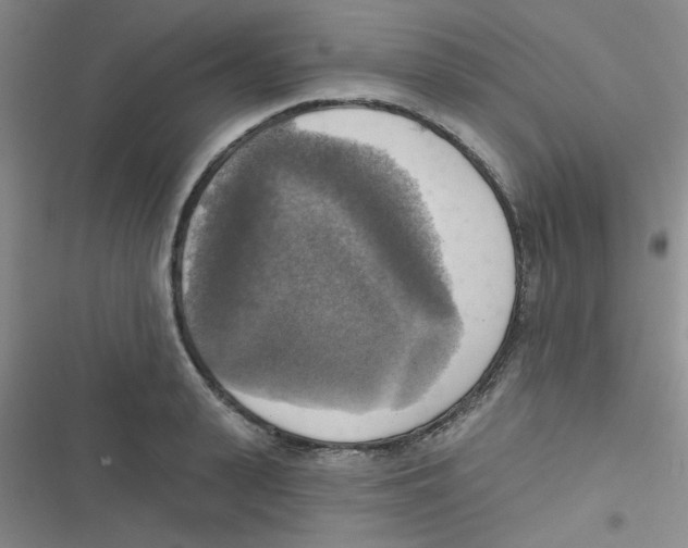 X0000116830943201001081435