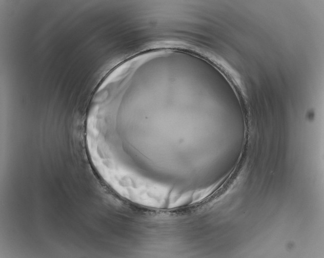 X0000116830945201001081435