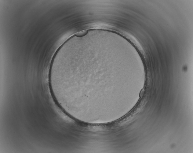 X0000116830946201001081435