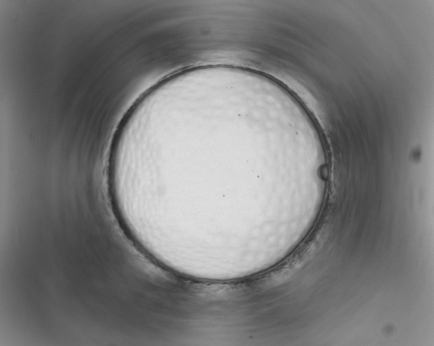 X0000116830949201001081435