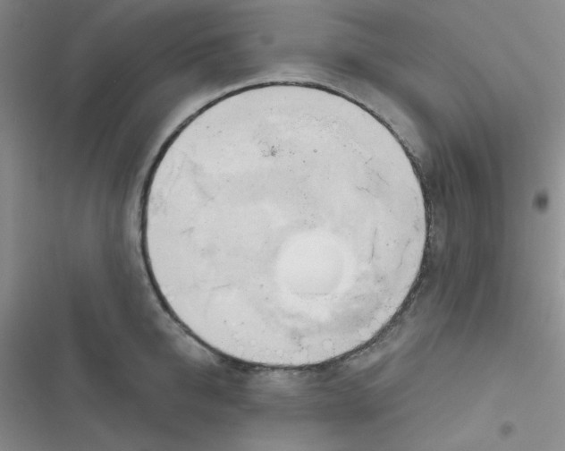 X0000116830950201001081435