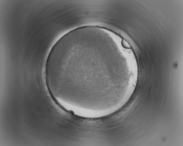 X0000116830951201001081435