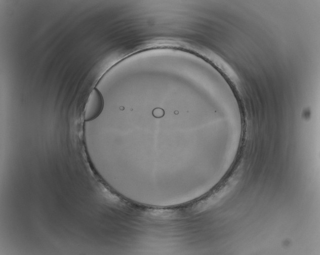 X0000116830953201001081435