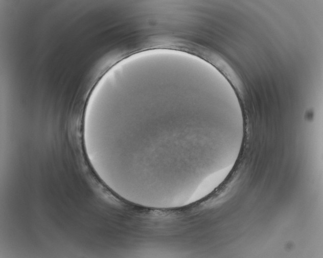 X0000116830954201001081435