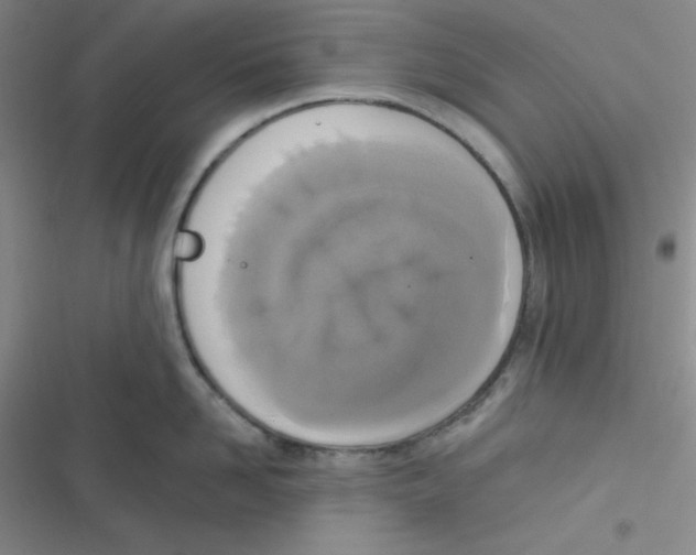 X0000116830958201001081435