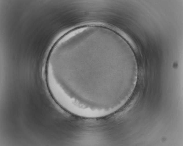 X0000116830959201001081435