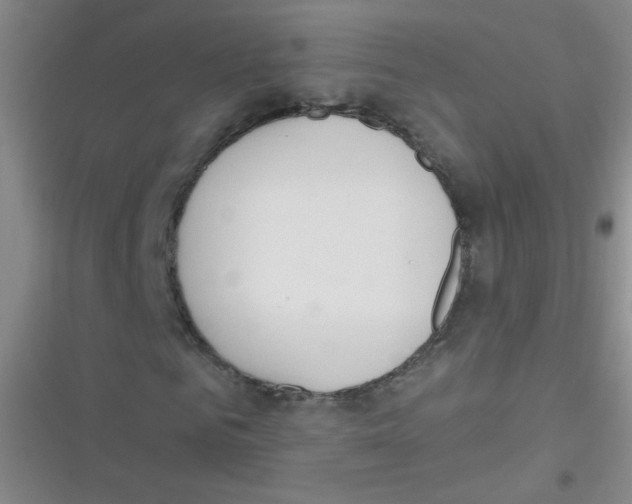 X0000116830961201001081434