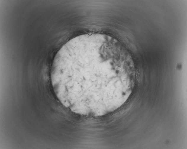 X0000116830962201001081434