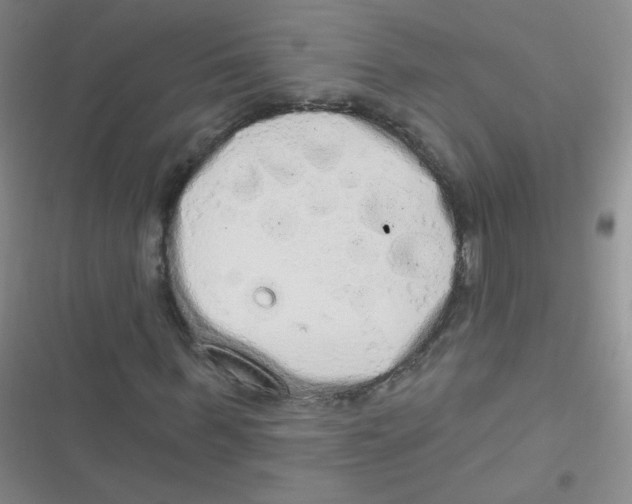 X0000116830963201001081434