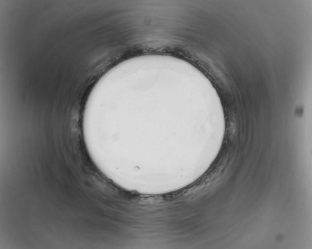 X0000116830964201001081434