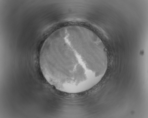 X0000116830966201001081434