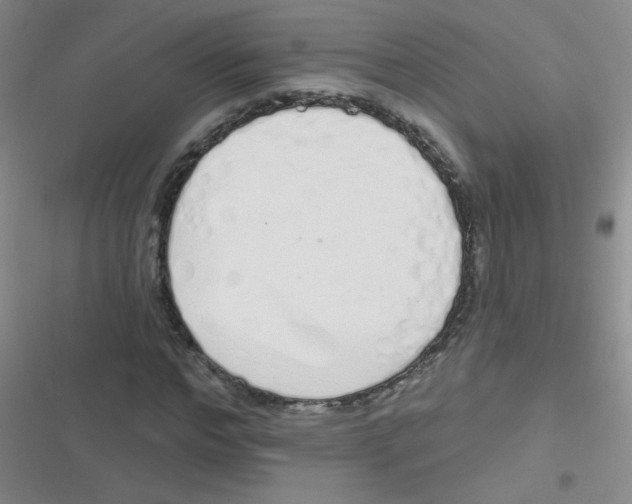 X0000116830968201001081434