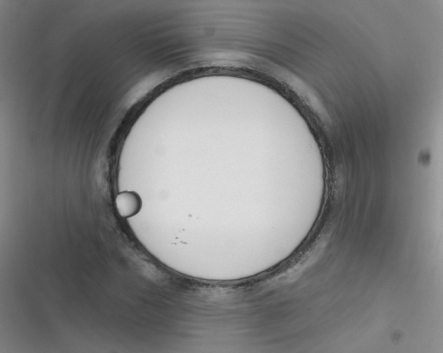 X0000116830970201001081434