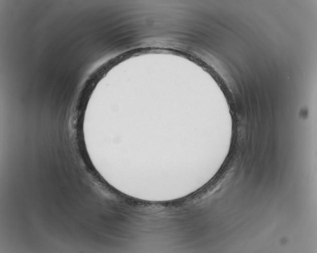 X0000116830971201001081434