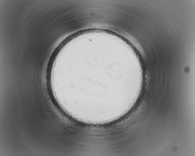 X0000116830972201001081434