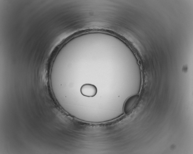 X0000116830973201001081434