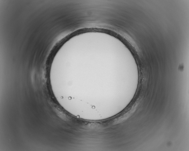 X0000116830974201001081434