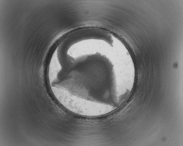 X0000116830975201001081434