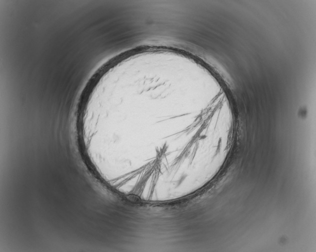 X0000116830976201001081434