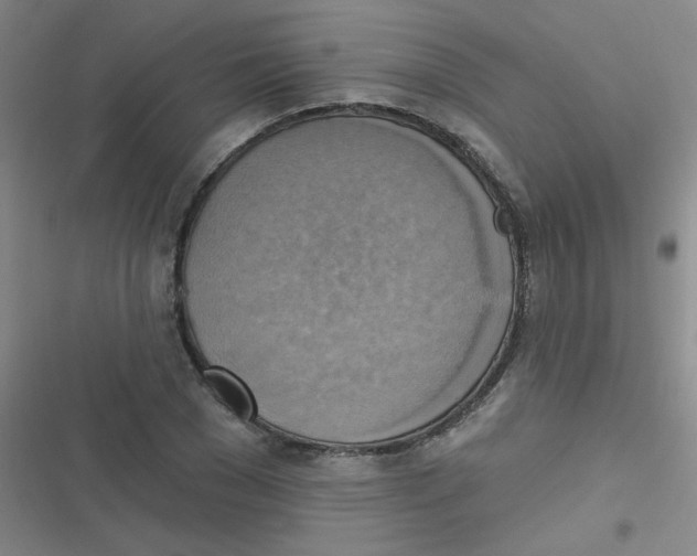 X0000116830977201001081434