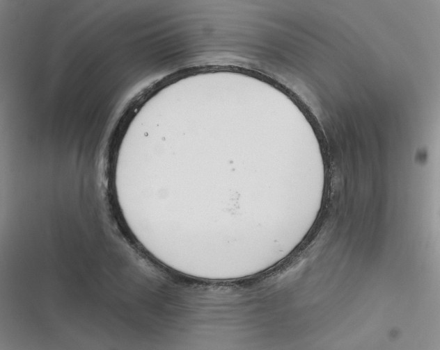 X0000116830979201001081434