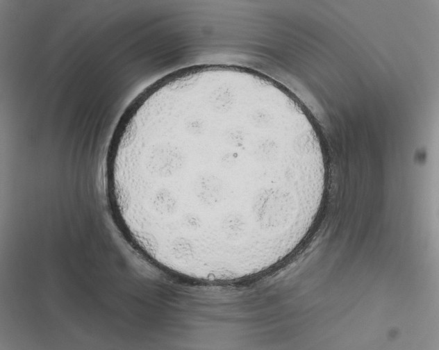 X0000116830980201001081434