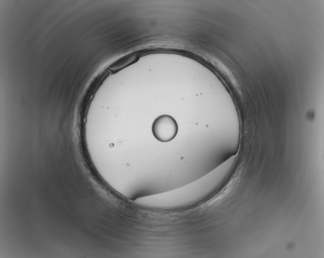 X0000116830981201001081434