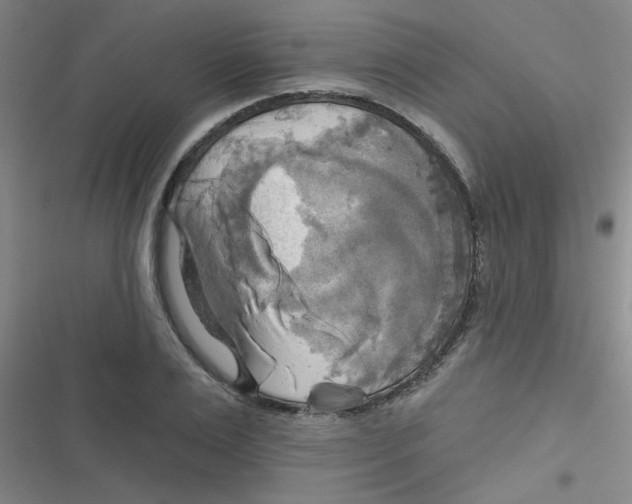 X0000116830983201001081434