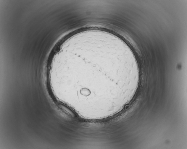 X0000116830984201001081434