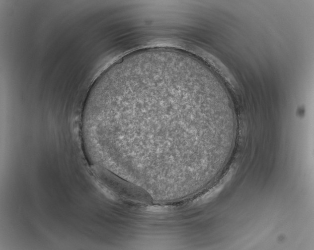 X0000116830985201001081434