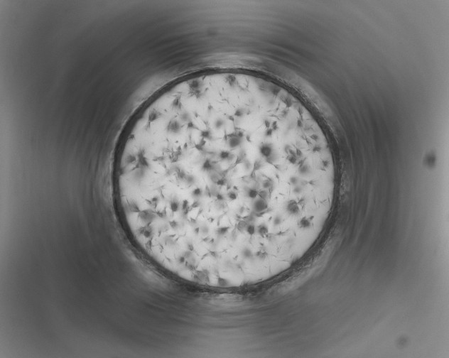 X0000116830986201001081434