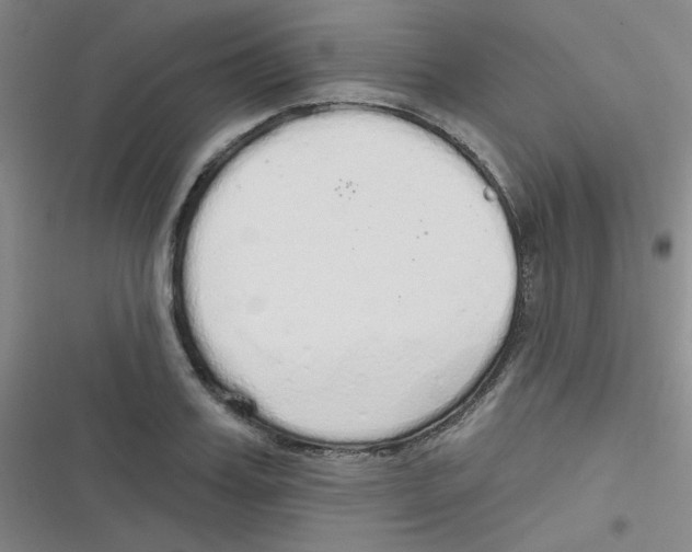 X0000116830987201001081434