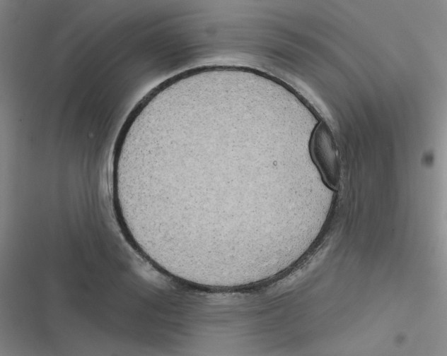 X0000116830988201001081434