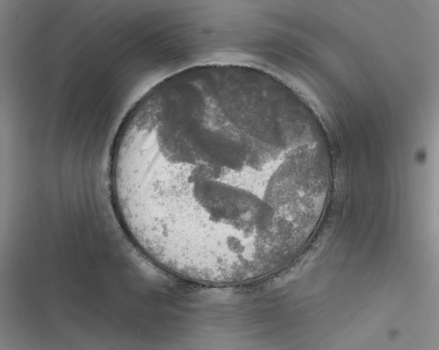 X0000116830990201001081434