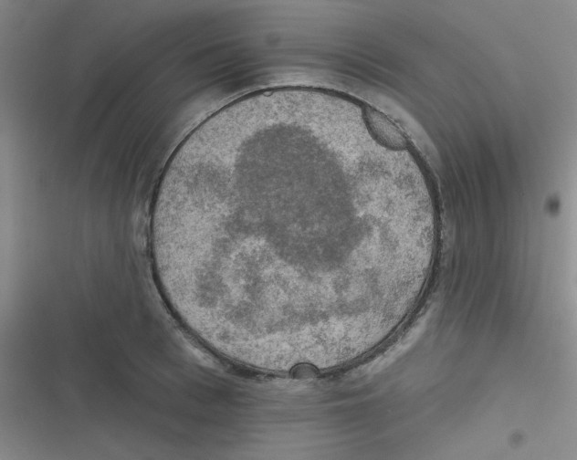 X0000116830993201001081434