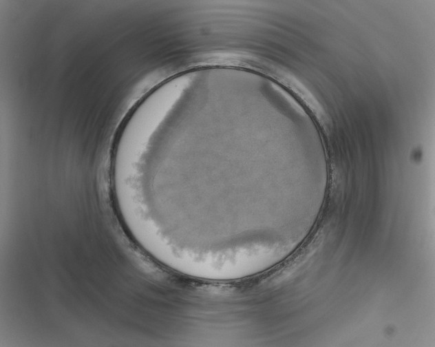 X0000116830994201001081434