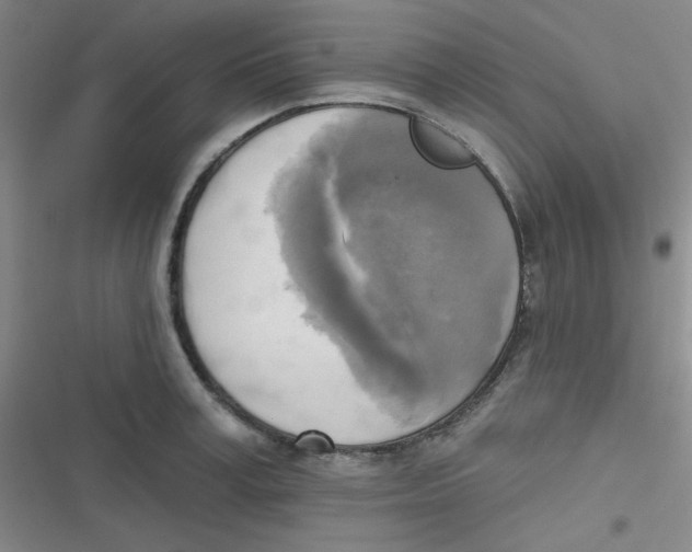 X0000116830995201001081434